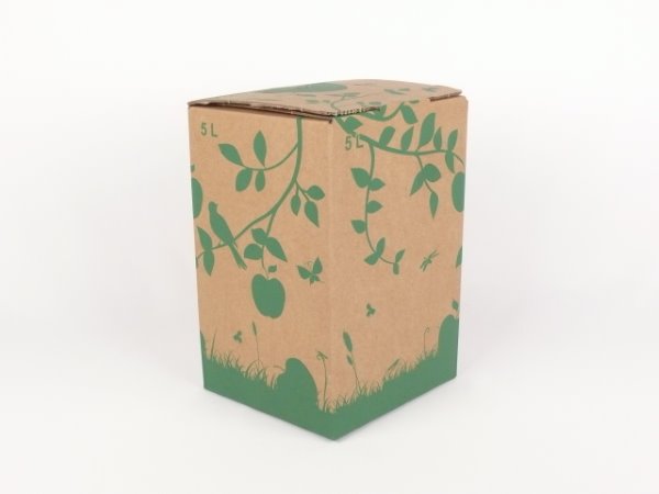 Karton Bag in Box 5 Liter braun-grün, Saftkarton, Faltkarton, Apfelsaft-Karton, Saftschachtel, Schachtel. - Bild 1